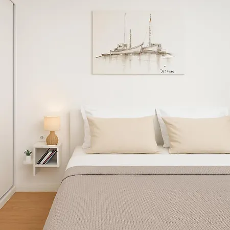 Sunny Garden The Modern זאדאר